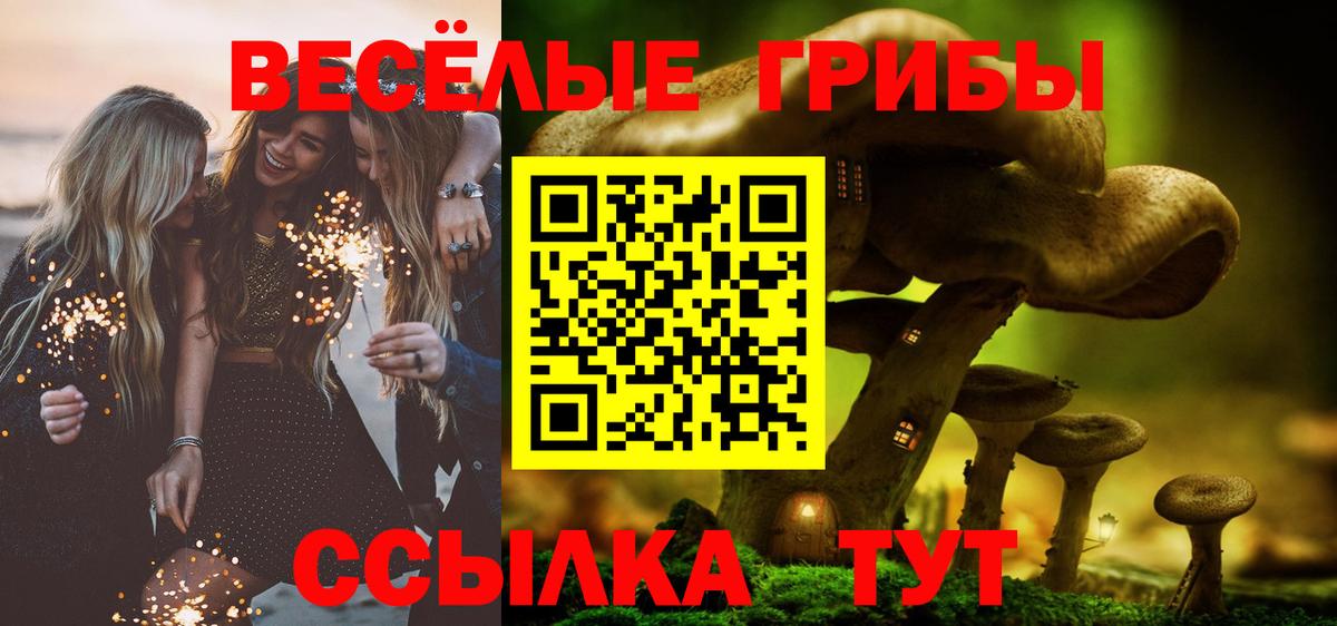 Псилоцибиновые грибы GOLDEN TEACHER  Вход с VPN  Канск  Псилоцибиновые грибы мухоморы 