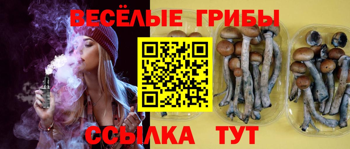 Галлюциногенные грибы мухоморы Канск